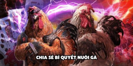 bí quyết nuôi gà