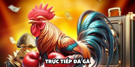 Trực tiếp đá gà